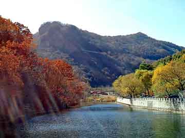 新澳天天开奖资料大全旅游团，恐怖杀人医院